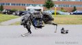       WildCat   Boston Dynamics