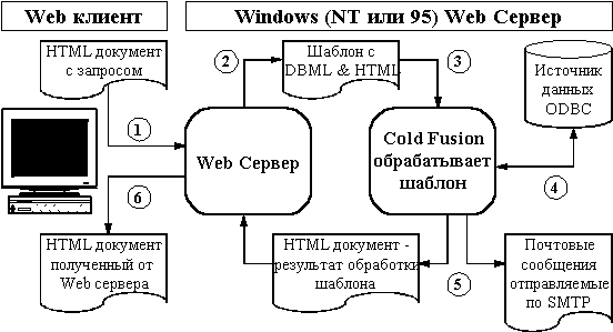  Cold Fusion  MS Windows   WWW -    
