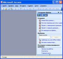  MS Access 2003    