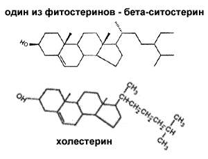: http://www.cbio.ru/images/library/sitoster.gif